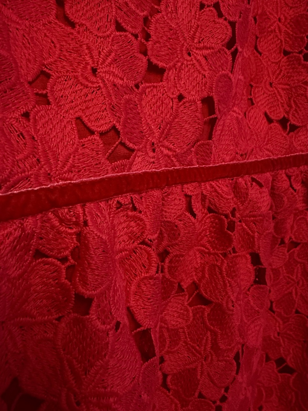 Tuckernuck Catalina red lace blouse with lining XXL - Picture 7 of 10